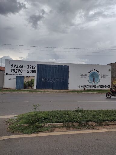 Viveiro Amoringa - Mudas Frutíferas, Mudas Ornamentais, Mudas de Reflorestamento, Viveiro em Goiânia
