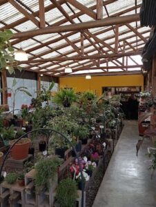 Vivero Fukuoka