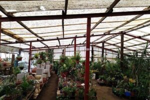 Vivero Mi Refugio
