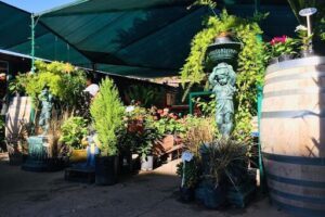 Vivero terra (carrefour)