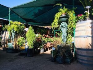 Vivero terra (carrefour)