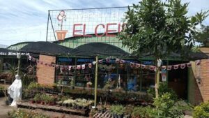 Vivero y Floreria El Ceibo
