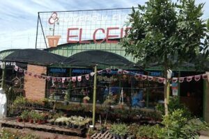 Vivero y Floreria El Ceibo
