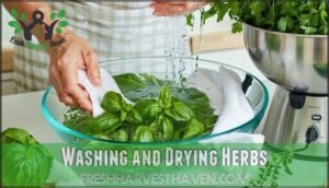 washing and drying herbs