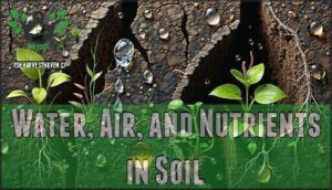 water, air, and nutrients in soil