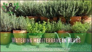 watering mediterranean herbs
