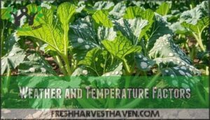 weather and temperature factors
