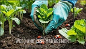 weed and pest management