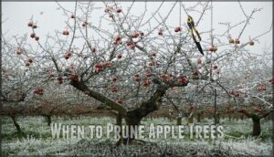 when to prune apple trees