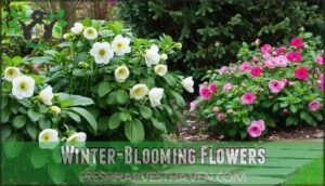 winter-blooming flowers