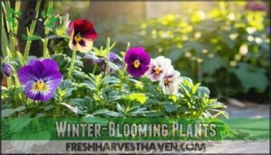 winter-blooming plants