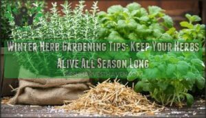 winter herb gardening tips