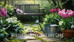 winter maintenance and care
