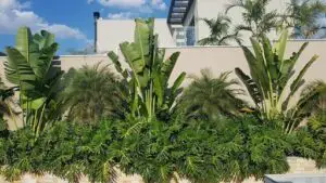 Wolff Garden Landscaping
