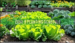 zone 9 planting schedule