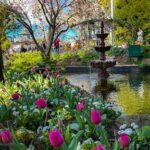 A beautiful garden with a fountain, surrounded by pink flowers and trees.