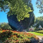 A beautiful garden with a large tree and a gazebo in the background.