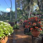 A beautiful garden with a variety of flowers and plants, including red flowers, is located near a path.
