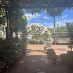 A beautiful garden with a white arbor and a variety of flowers.