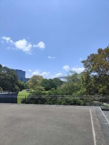 A beautiful view of a bridge over a lush green park.
