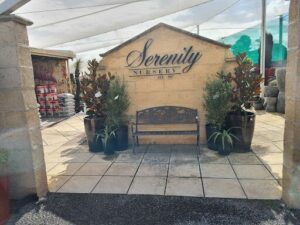 A bench is placed in front of a sign that says "Serenity Nursery."