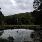A bird is standing on a pond in front of a flag.