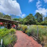 A brick walkway leads to a garden shop filled with various plants and flowers.