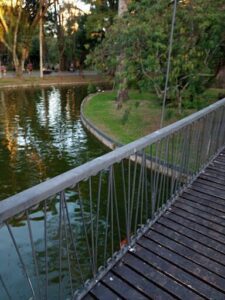 A bridge over a pond with a metal railing.