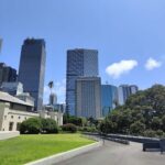 A city skyline with a large building and a tree in the foreground.