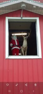 A deer stands in front of a window, looking at a Santa Claus figure.