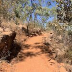 A dirt pathway leads to a rocky hillside, with a tree in the foreground.