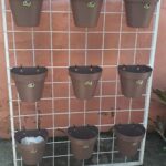 A display of potted plants with a variety of sizes and shapes.