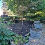 A garden with a tree, flowers, and potted plants.