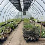 A greenhouse filled with a variety of plants, including a potted plant with a yellow tag.