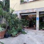 A large collection of potted plants are displayed outside of a building.