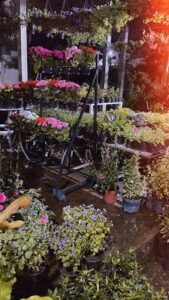 A large collection of potted plants, including flowers and greenery, are displayed in a garden shop.