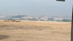A large empty field with a city in the background.
