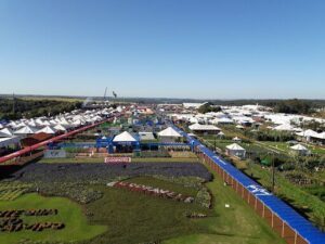 A large field filled with tents and blue walls, with a clear blue sky above.