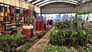 A large greenhouse filled with a variety of plants and pots.