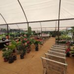 A large greenhouse filled with various plants and flowers, including a large number of potted plants and a shopping cart.