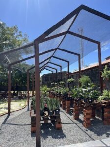 A large outdoor area with a variety of potted plants and benches.