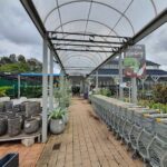 A large outdoor plant nursery with a variety of potted plants and a shopping cart.