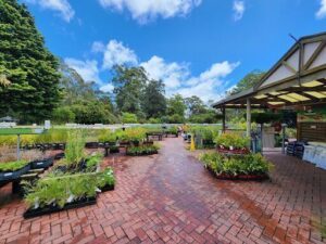 A large variety of plants are displayed in pots, creating a vibrant and colorful scene.