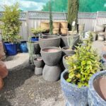 A large variety of potted plants are displayed in a garden shop, including a large number of vases and pots.