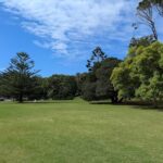 A lush green field with a few trees and a blue sky above.