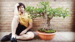 A man sits on the ground next to a small tree, possibly a bonsai.