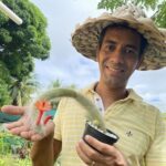 A man wearing a straw hat and holding a cactus plant.