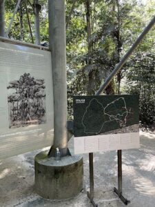 A map of a forest is displayed on a pole.