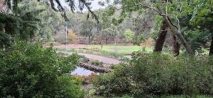 A park with a pond and a flag.