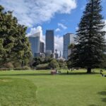 A park with a tree and a city skyline in the background.